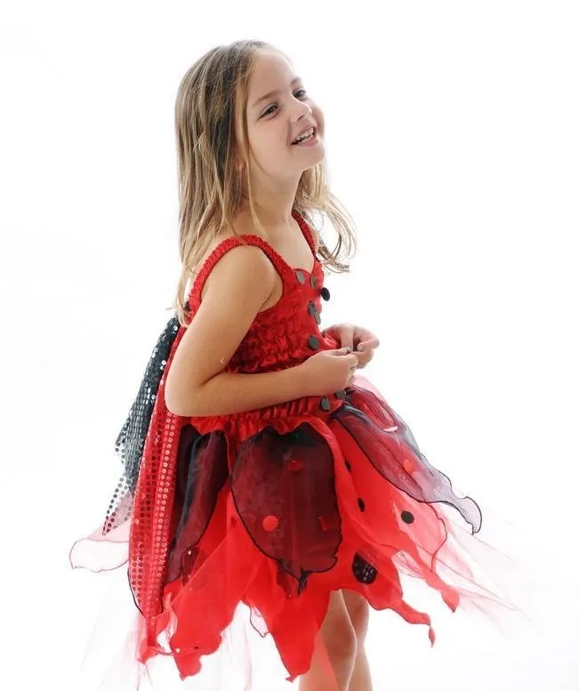 Ladybug Costume Package