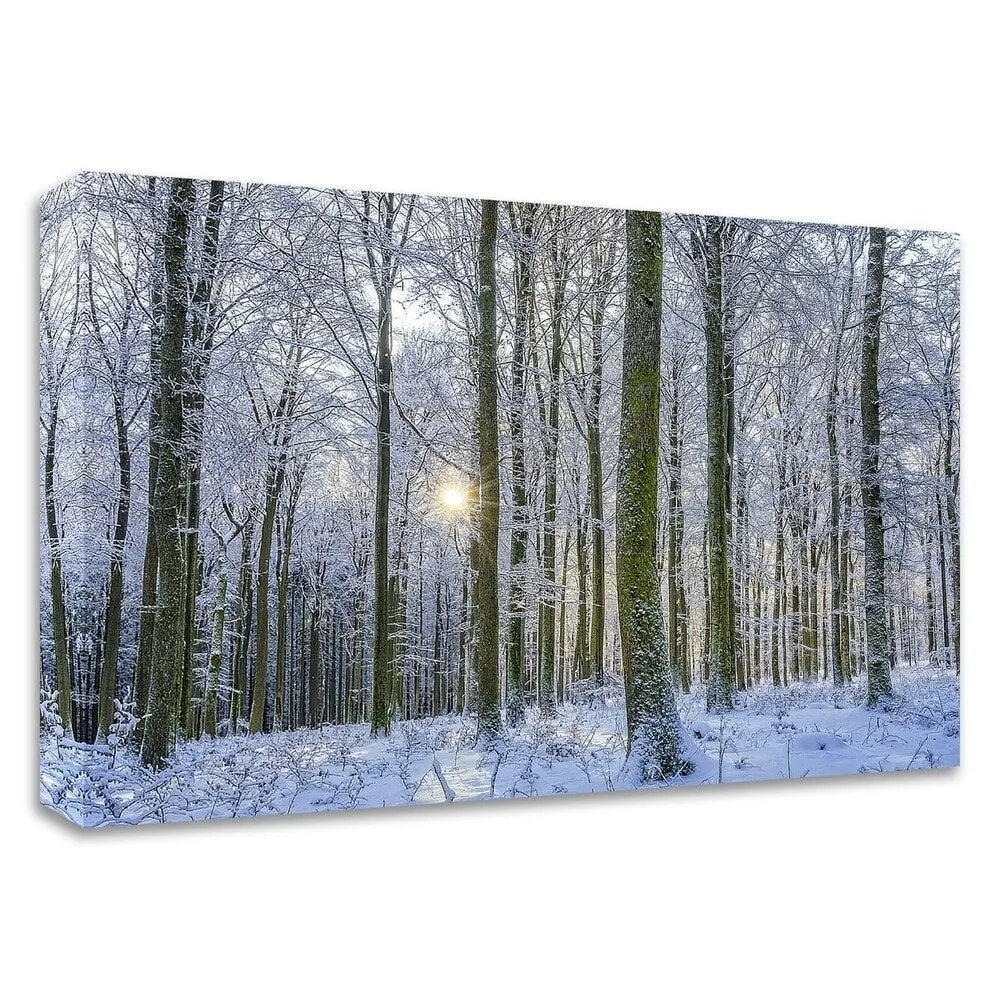"Frosty Forest" by Anne Schneidersmann, Print on Canvas, Ready to Hang