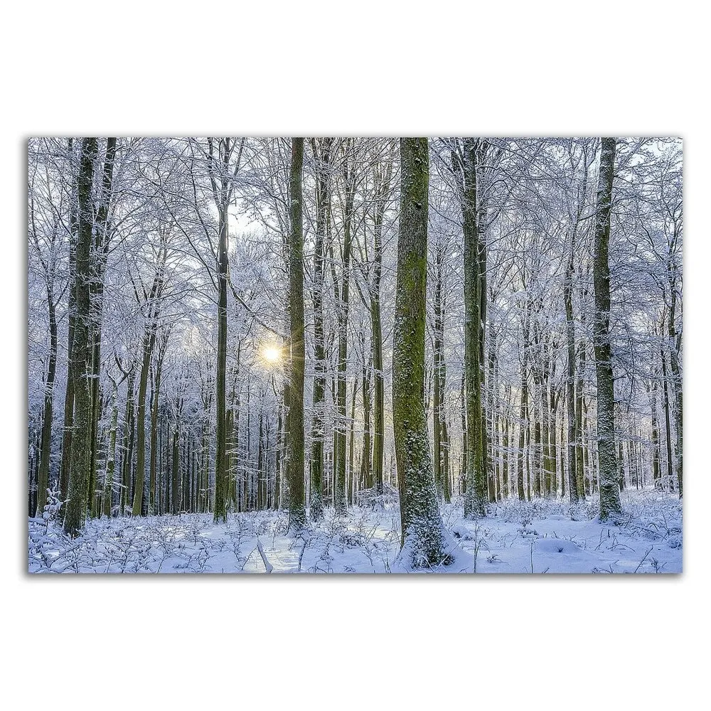 "Frosty Forest" by Anne Schneidersmann, Print on Canvas, Ready to Hang