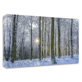 "Frosty Forest" by Anne Schneidersmann, Print on Canvas, Ready to Hang